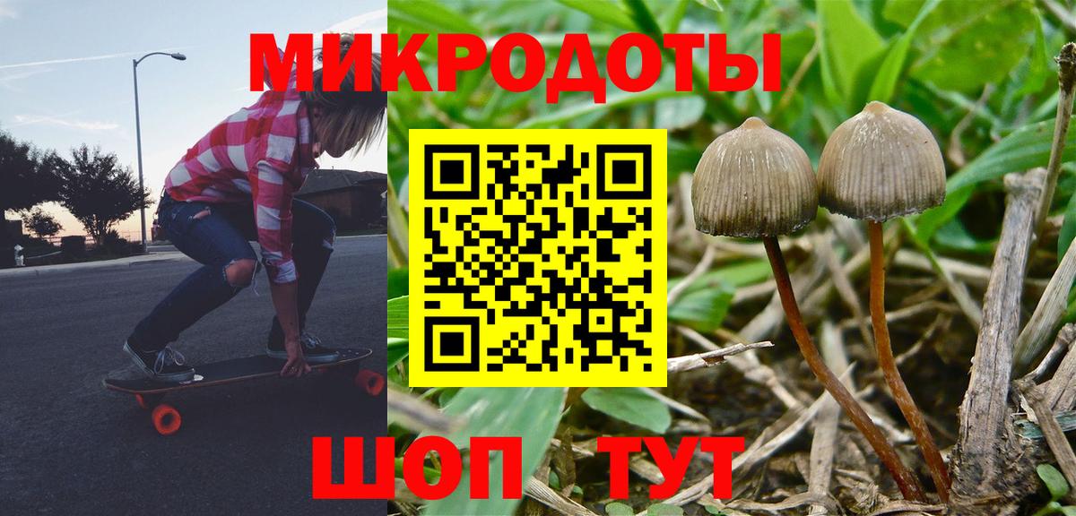 Псилоцибиновые грибы Cubensis  Вход с VPN  Казань  Галлюциногенные грибы GOLDEN TEACHER 